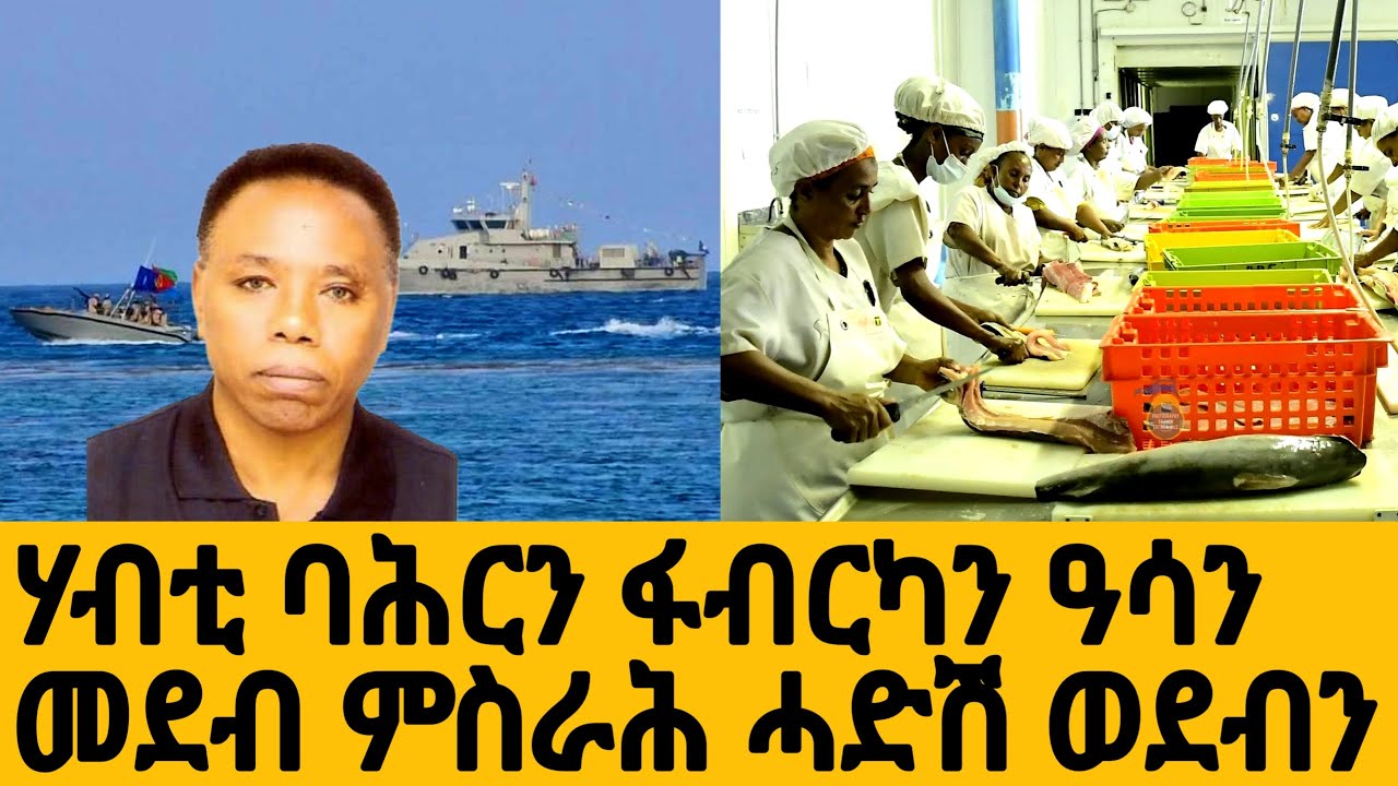 ሃብቲ ባሕርን ፋብርካን ዓሳን መደብ ምስራሕ ሓድሽ ወደብን