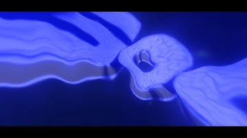 Intro for Mongoose [Best!?!]