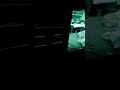 perfect loop?