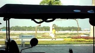 MOV01052