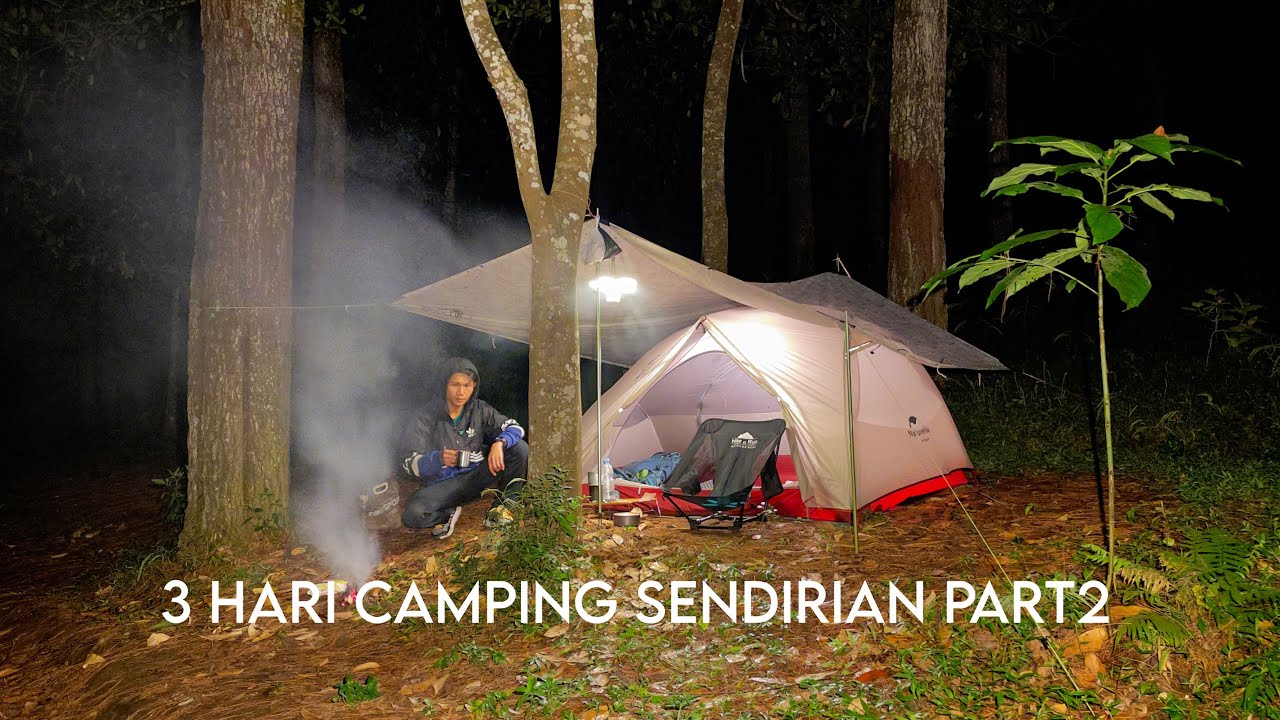 3 Hari Solo Camping Di Hutan Part2 | Nikmatnya Ubi Cilembu