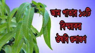 আম পাতার ১০টি বিস্ময়কর ঔষধি গুনাগুণ - 10 Amazing Benefits Of Mango Leaves in Bangla screenshot 1