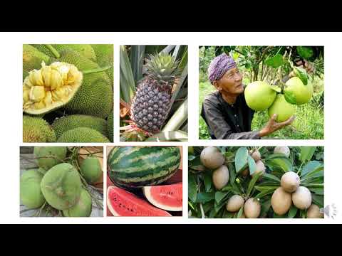 Video Địa lí 4 Bài 19: Hoạt động sản xuất của người dân ở... - youtube