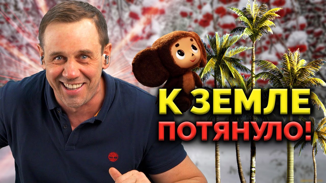 УСТРОИЛ ТРОПИЧЕСКИЙ РАЙ В ЛЕНОБЛАСТИ | БАНКРОТСТВО | Кузнецов | Аллиам ...