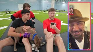 I Rescued 100 Abandoned Dogs!