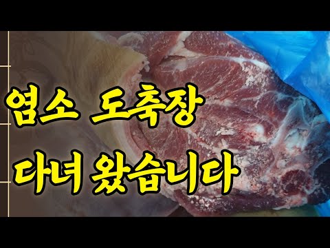 제천 염소 도축장 방문하여 생고기 발골 하기까지 