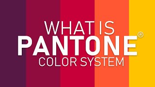 What is Pantone Color System | [Hindi/Urdu]