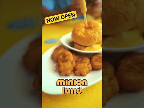 Minion Land is