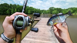 Fishing For GIANT BASS In Small Ponds! -- (Bank Fishing)