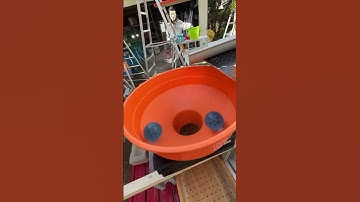 Marble run DIY wooden rain gutter relaxing slope roll down4 #asmr