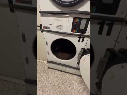 Необычный проход в ночной клуб через стиральную машину.#satisfyingvideo#satisfying#oddlysatisfying
