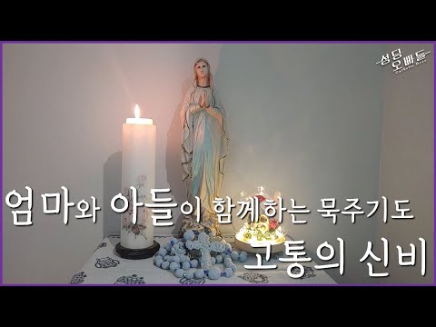 영상썸네일