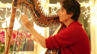 Harpist Nicolas Carter plays Sueno de Angelita chords