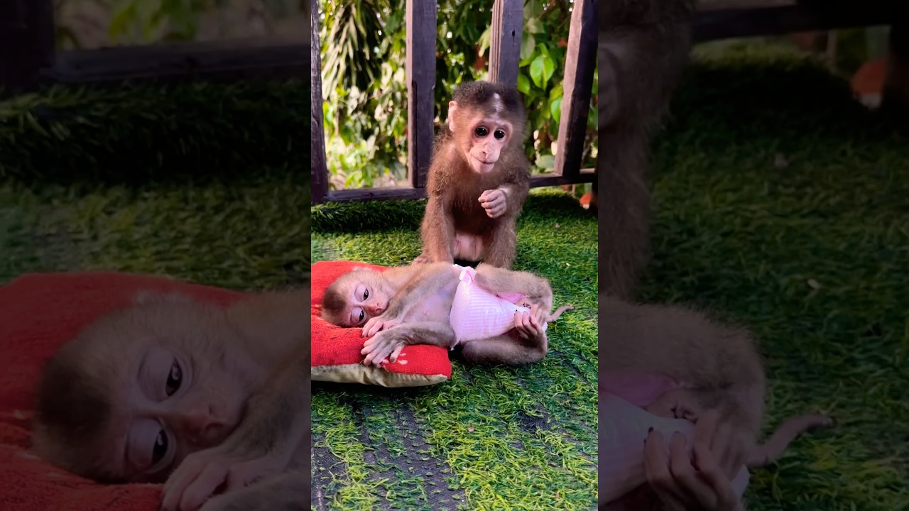 Sit care baby sleeping 