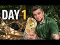 31 Days in the Forest – One Meal a Day (Day 1)
