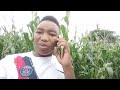 KWAHIYO MBEGE IPO KWENYE KUNDI GANI LA CHAKULA ENYEWE