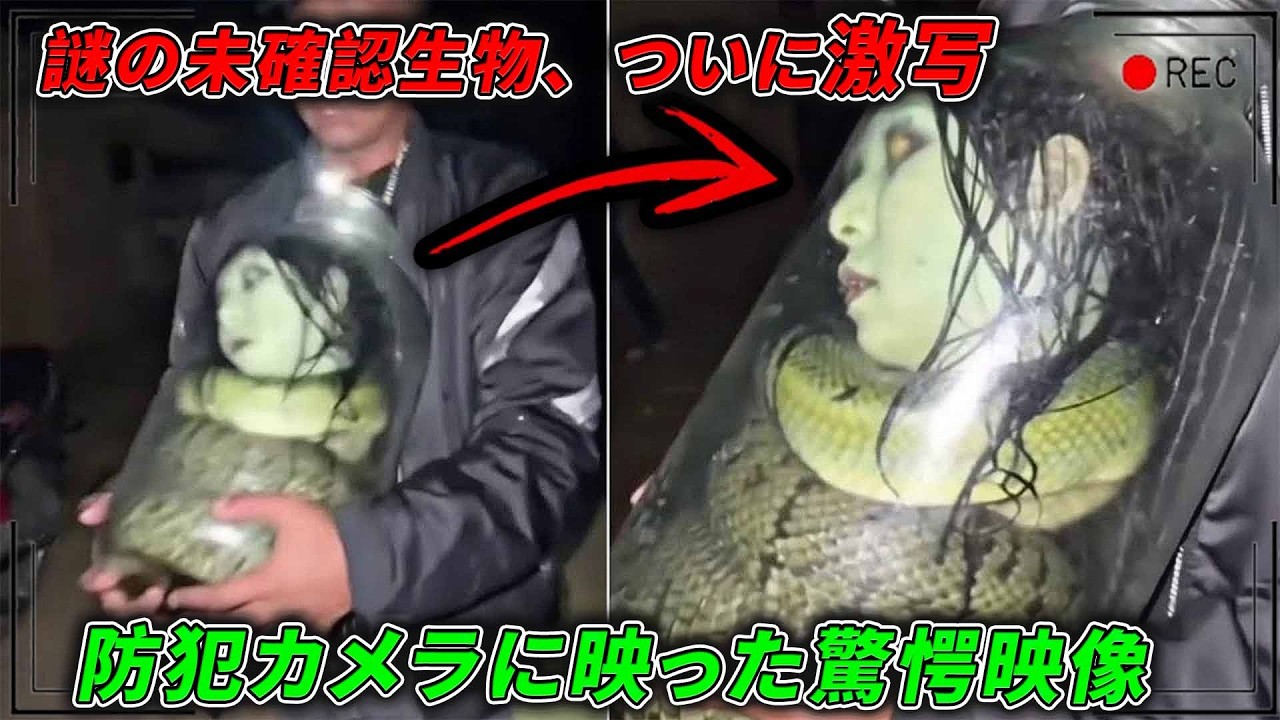 【衝撃】カメラが捉えた「世界のバグ」としか思えない映像14選。そこには映ってはいけないモノが…#衝撃の事実 #top #人類迷惑行為 #10選 #怪現象 #面白い #監視カメラ #カメラ #不可解