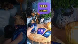 #shorts #рек #топ #любовь #психология #советтаро #картытаро #картадня #tarot #trending #love #шортс