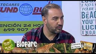 V7 Show 08-11-2016 / Programa 529