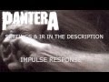 Pantera  vulgar display of power  guitar impulse respones  free download