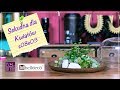 Sekunda dla Kwiatów s08 e03 - mini krajobraz (diy: mini landscape)