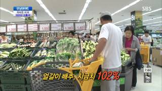 모닝와이드 20130716 다시보기 #1(2)