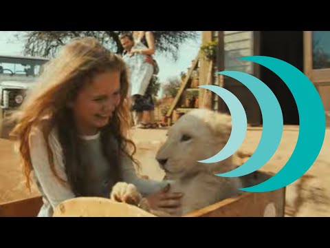 Mia and The White Lion • Nederlandse Trailer • Vanaf 4 juli in de bioscoop!
