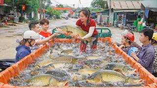 Use 3-Wheel Truck To Buy Many Big Fish from Female Farmer and Goes To Country Market Sell
