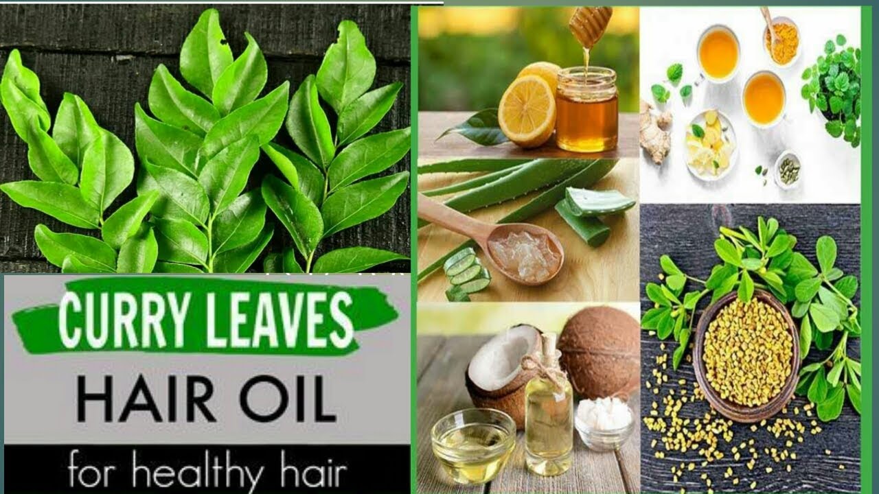 Home Made Aloe Vera & Curry Leaves Hair Oil Aloe vera, Curry leaves
