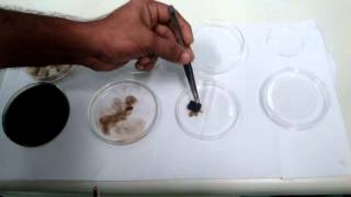 Magnetic hidrogels for biomedical applications