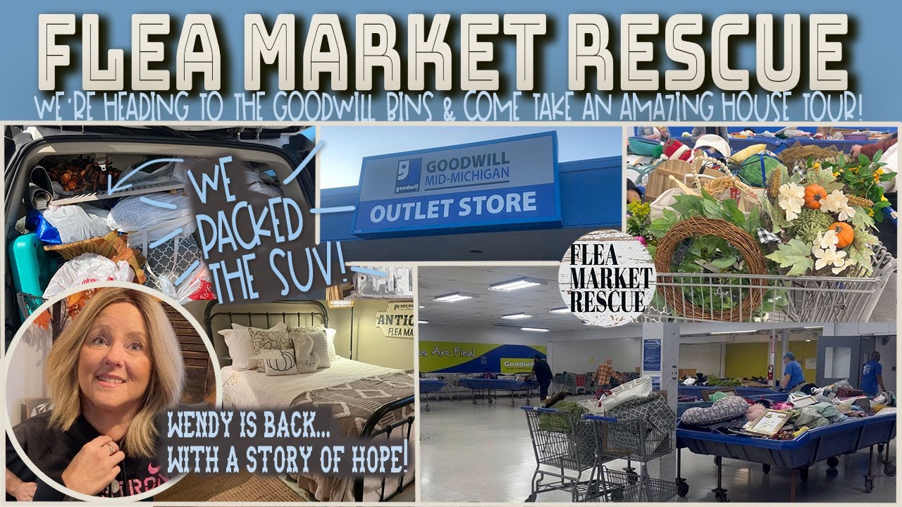 шопинг в благотворительных ящиках в поисках находок с Wendy 2025