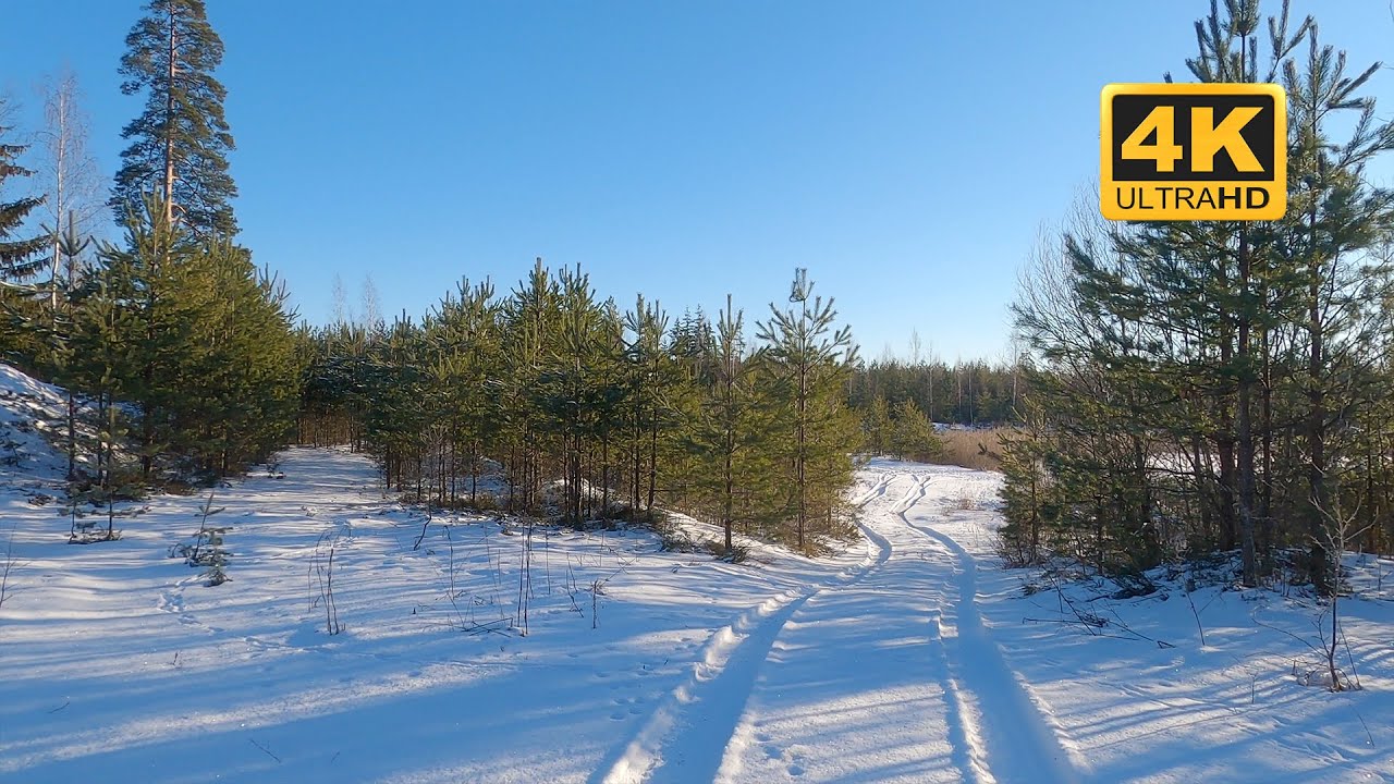 4K Road Trip with Chill Music. Riga - Ropazhi