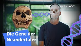 Spektakuläre Suche: Der Neandertaler in uns - Woher wissen wir das? | planet schule