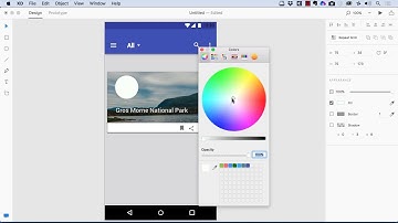 Adobe Experience Design: Picking Color