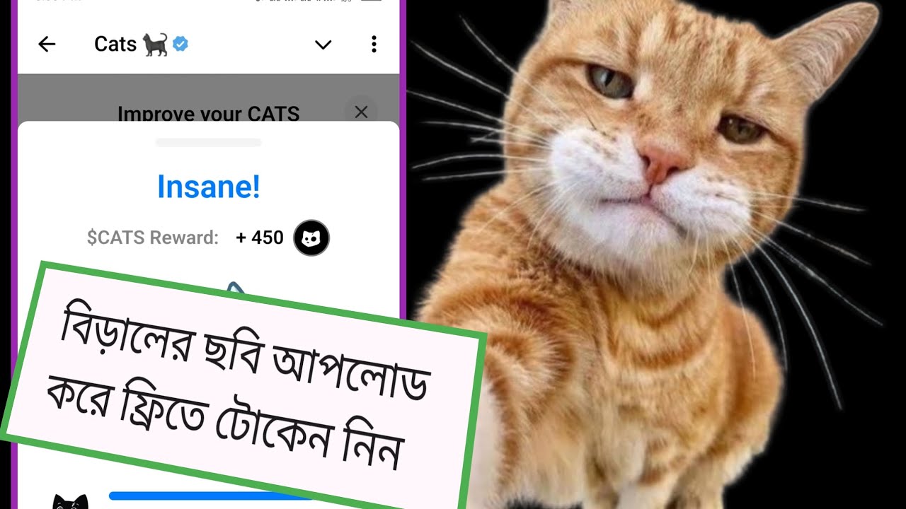 Get Free CATS Tokens by Uploading cat Pictures @catsgang_bot Update How ...