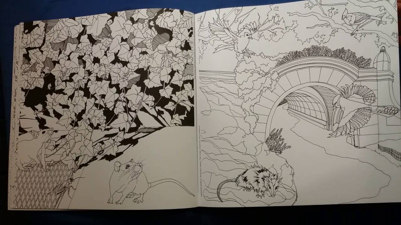 88+ Coloring Book New York HD