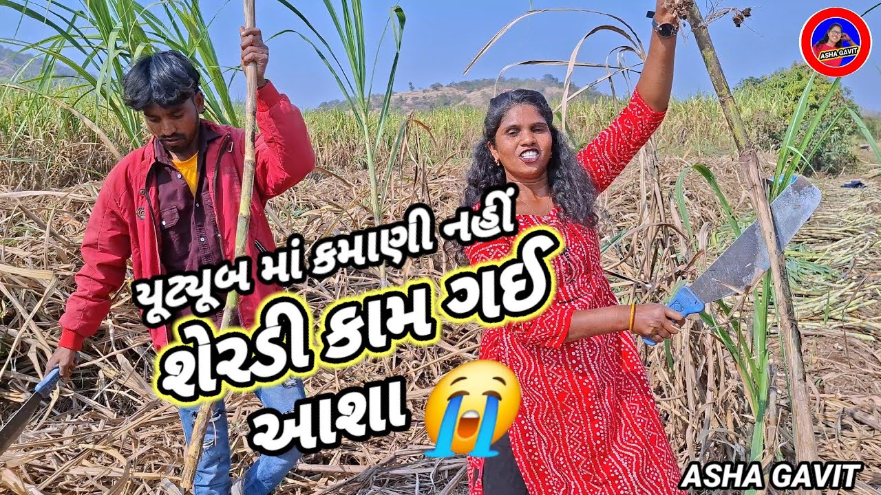 આશા ગાવિત શેરડી કાપવા ગઈ 😭 DANGI COMEDY 