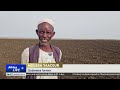 War disrupts Sudan’s farmers, threatens food security
