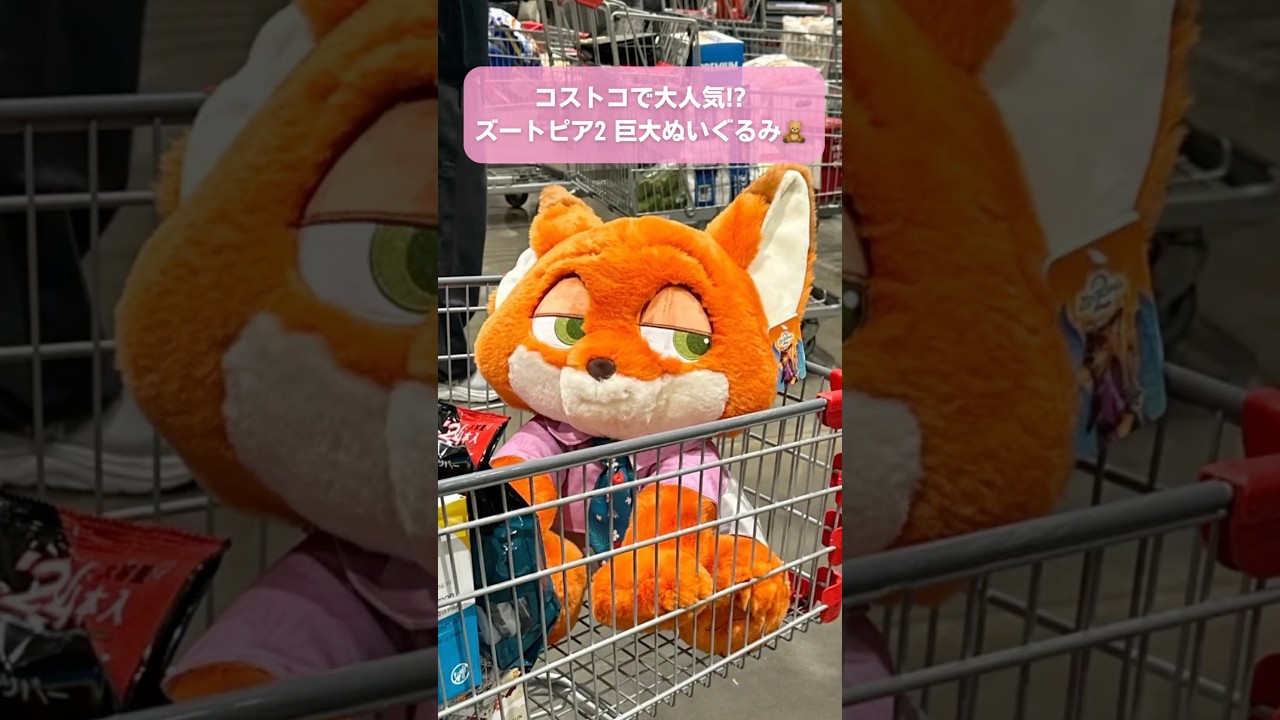 COSTCOへ急げ！ズートピア2の巨大ぬいぐるみが大人気！ #コストコ