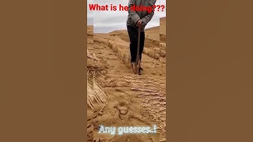 Vertical Mulching #shorts #viralshorts2022