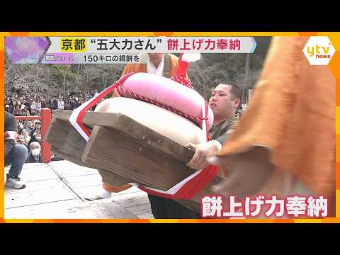 京都の世界遺産・醍醐寺で伝統行事「五大力さん」150キロの巨大な紅白鏡餅を持ち上げ無病息災を祈願