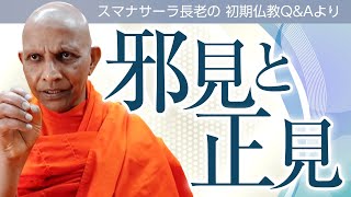 《仏教哲学》邪見と正見はどう違うの？／四聖諦の「諦」は「あきらめ」という意味？　誤解されやすい仏教用語の解説　スマナサーラ長老の初期仏教Q&A｜ブッダの智慧で答えます（一問一答）
