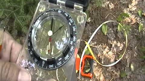 PGP3_ Tree Azimuth and Distances.