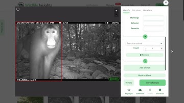 Wildlife Insights Tutorials - Review Images