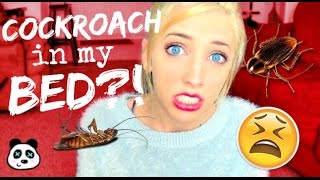 COCKROACH IN MY BED?! (Horror Stories)