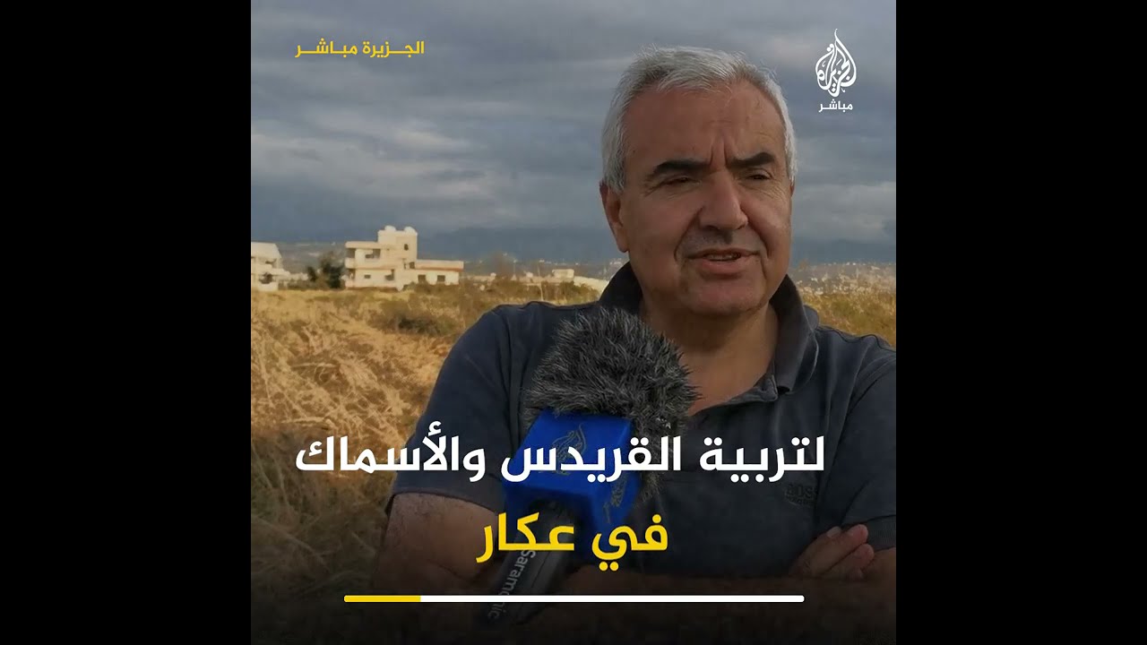 حتى الأسماك تأثرت بأزمة نقص الوقود في #لبنان .. لكن أصحاب المزارع كان لهم حلول مبتكرة