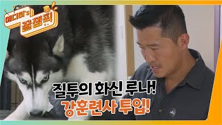 [#개는훌륭하다] 눈물을 보이는 보호자 질투의 화신 허스키 '루나'! 계속되는 입질에 맬러뮤트 '써니'는 마음의 문을 닫아버리는데.. l KBS 211025 방송