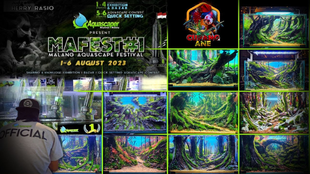 mafes#1 malang aquascape festival 2023 hotel begawan malang. 