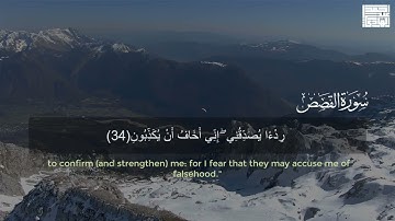 قال سنشد عضدك بأخيك ونجعل لكما سلطانا 🥺🌸 | تلاوة ممتعه للقارئ احمد عبدالهادي | ارح سمعك 🤎