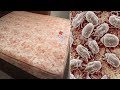 床墊有螨蟲不用怕！間單一招，不用洗不用曬，快速將所有螨蟲除光光！